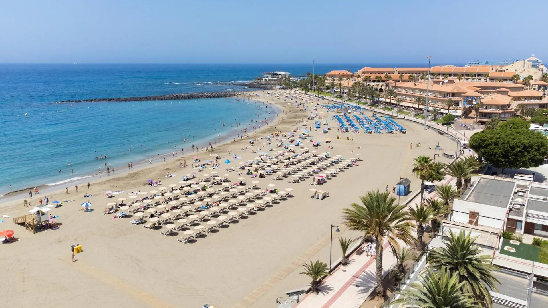 Buho Los Cristianos İspanya