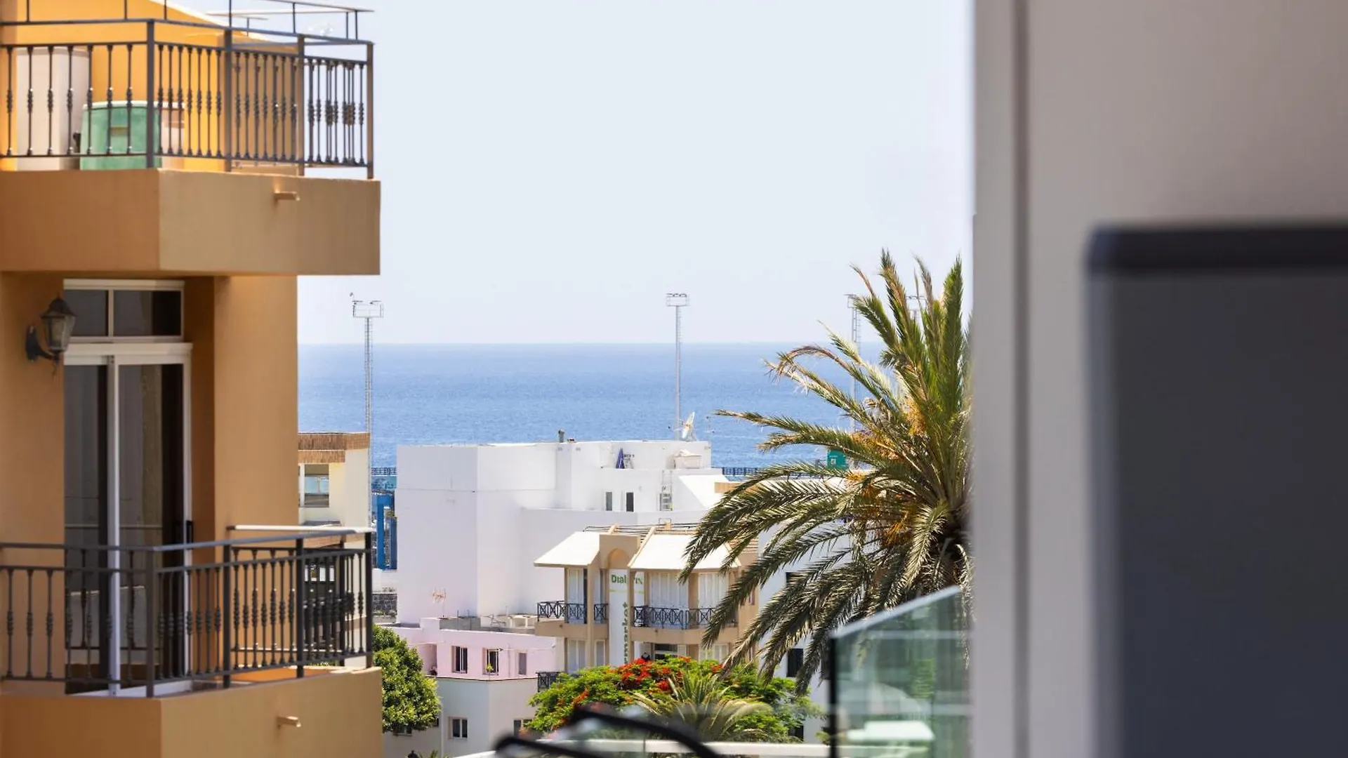 Buho Los Cristianos